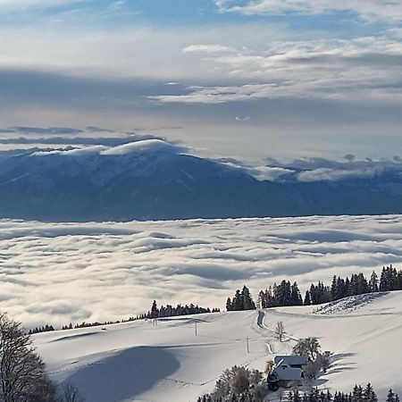 Вілла Almchalet Schuster Diex Екстер'єр фото