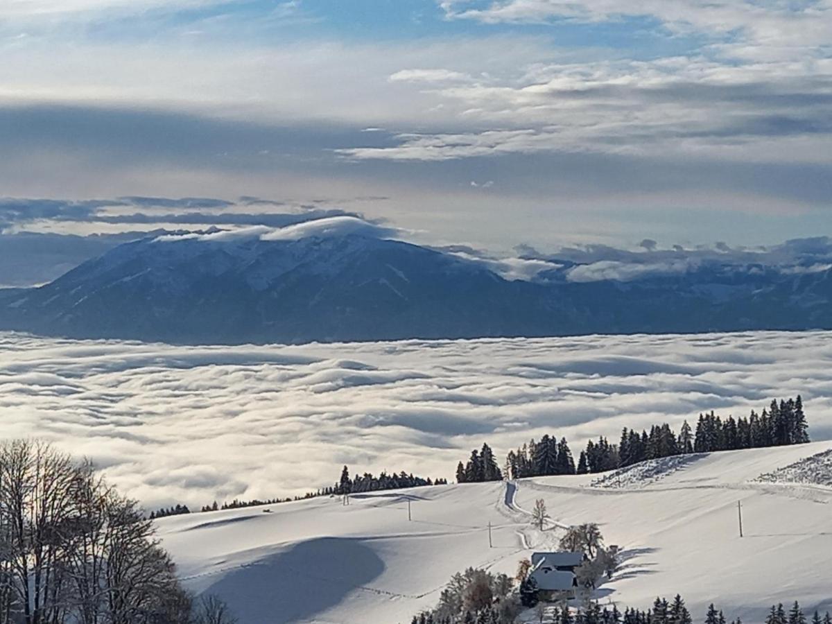 Вілла Almchalet Schuster Diex Екстер'єр фото